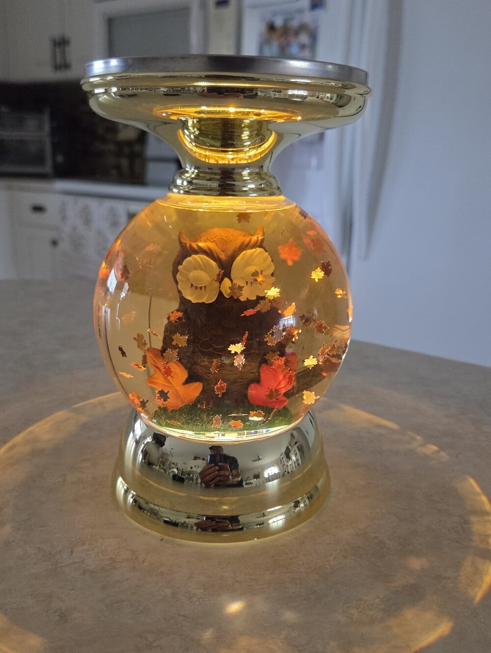 Bath&Body Works Forest Friends Owl Water Globe Candle Holder Lights Up